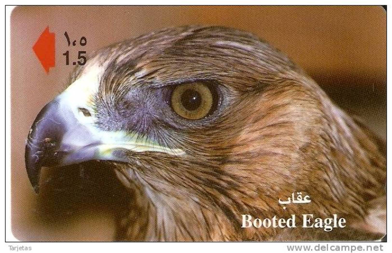 TARJETA DE OMAN DE UN AGUILA  (EAGLE) - Águilas & Aves De Presa