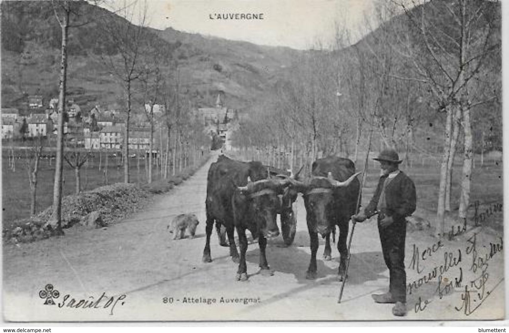 CPA  Attelage Campagne Travaux Des Champs Métier Ciculé Auvergne - Spannen