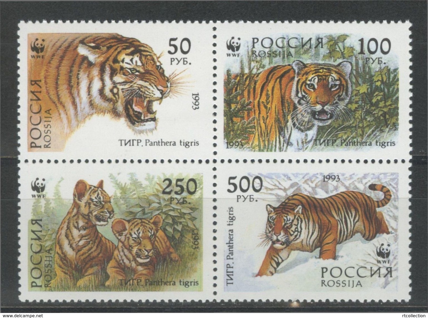 Russia 1993 Siberian Tigers Animals Panthera Fauna Mammals Nature W.W.F. Forest Protection Stamps MNH Mi 343-346 - Environment & Climate Protection