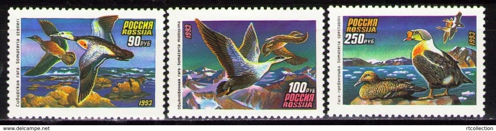 Russia 1993 Wild Water Ducks Birds Bird Duck Fauna Animals Animal Nature Soviet Union Stamps Michel 320-322 Sc 6155-6157 - Environment & Climate Protection