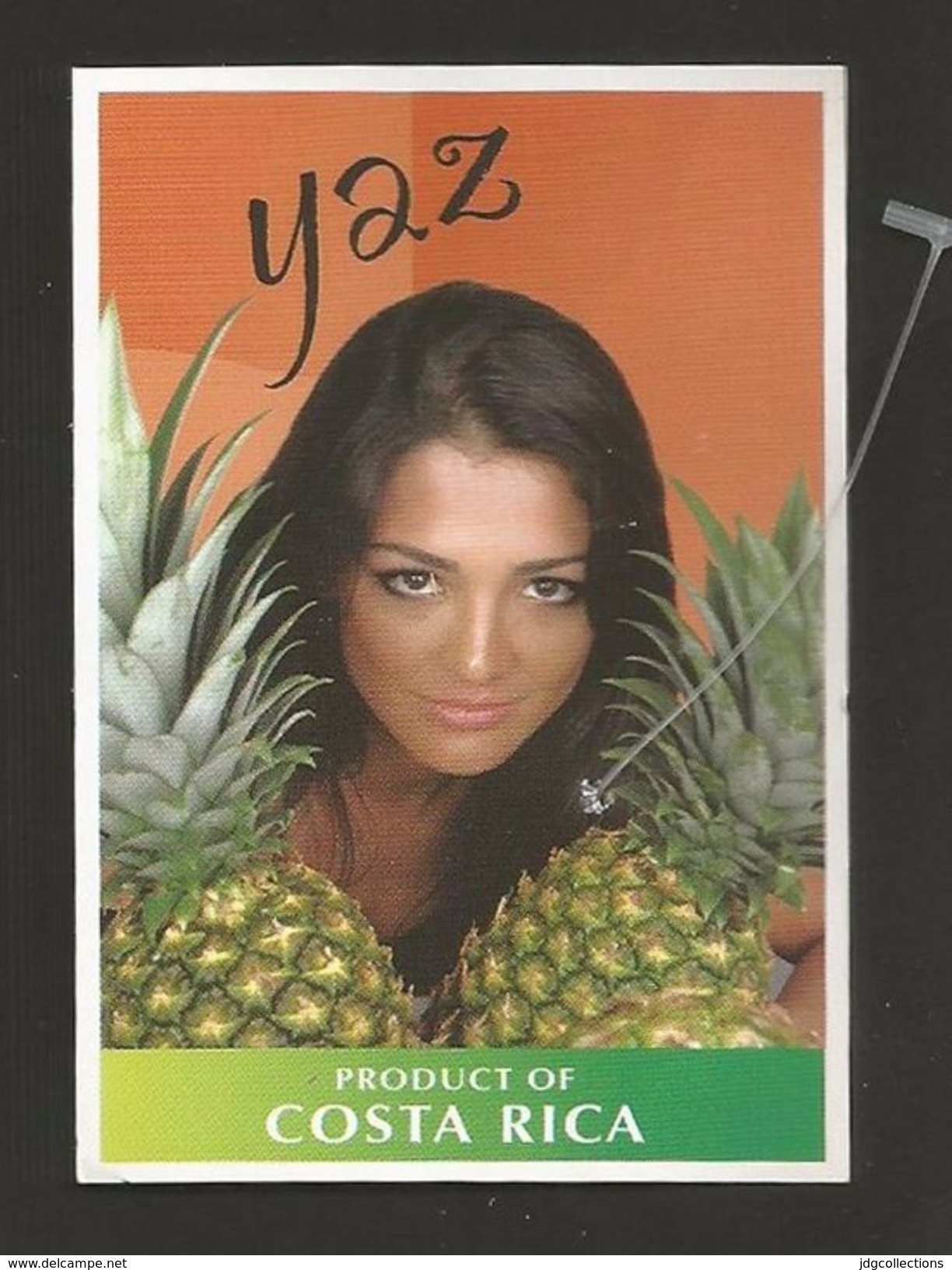 # PINEAPPLE YAZ Type 3 WITHOUT SIZE Fruit Tag Balise Etiqueta Anhanger Ananas Pina Costa Rica - Fruits & Vegetables