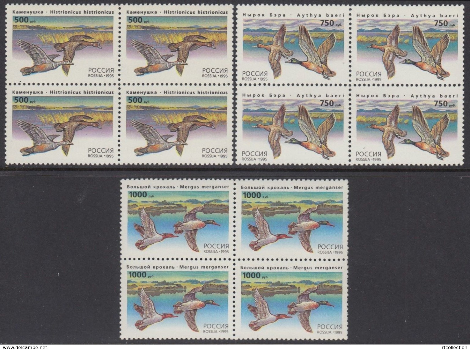 Russia 1995 Block Wild Ducks Birds Bird Water Duck Fauna Animals Animal Nature Stamps MNH Michel 462-464 Sc 6284-6286 - Protección Del Medio Ambiente Y Del Clima