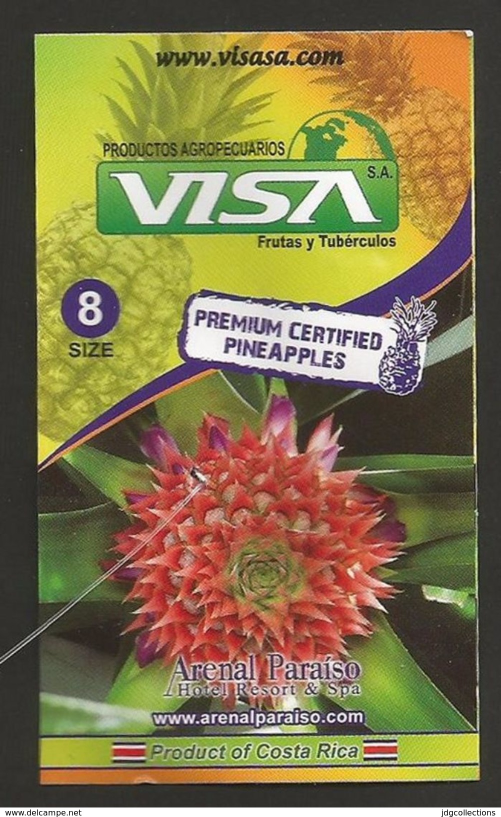 # PINEAPPLE VISA HOTEL ARENAL PARAISO RESORT Type 2 - Fruit Tag Balise Etiqueta Anhanger Ananas Pina Costa Rica Flowers - Fruits & Vegetables