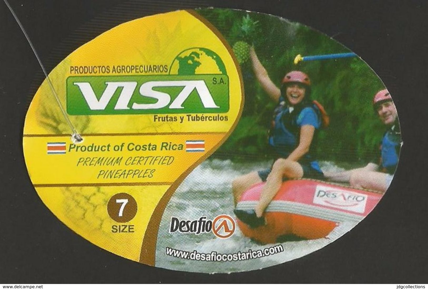 # PINEAPPLE VISA RAFTING Type 3 Size 7 - Fruit Tag Balise Etiqueta Anhanger Ananas Pina Costa Rica Dinghy Rafting Sport - Fruits & Vegetables