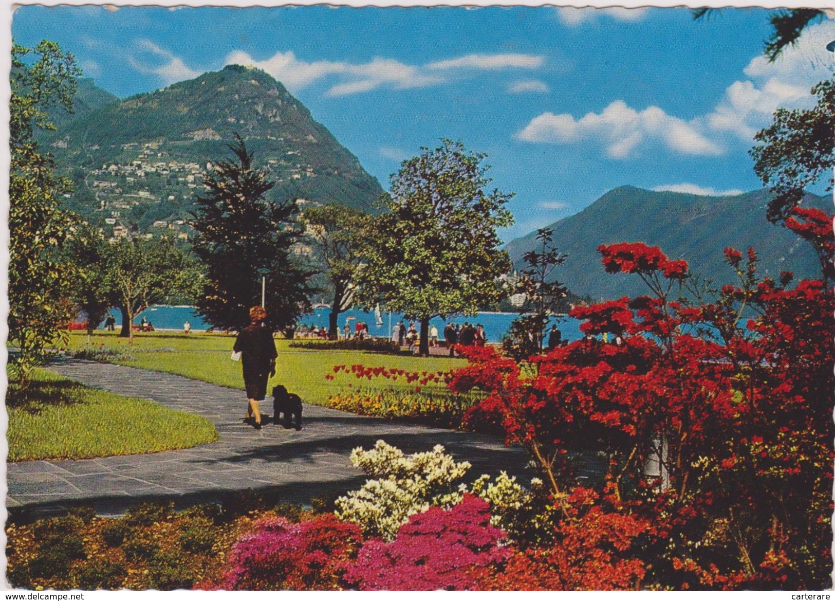 Suisse,switzerland,swiss, Helvetia,schweiz,svizzera,TESSIN,TICINO,LUGANO,PARC - Lugano