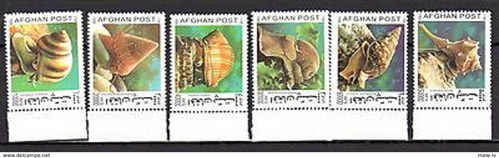 Afghanistan 1999 Snails MNH - Marine Life