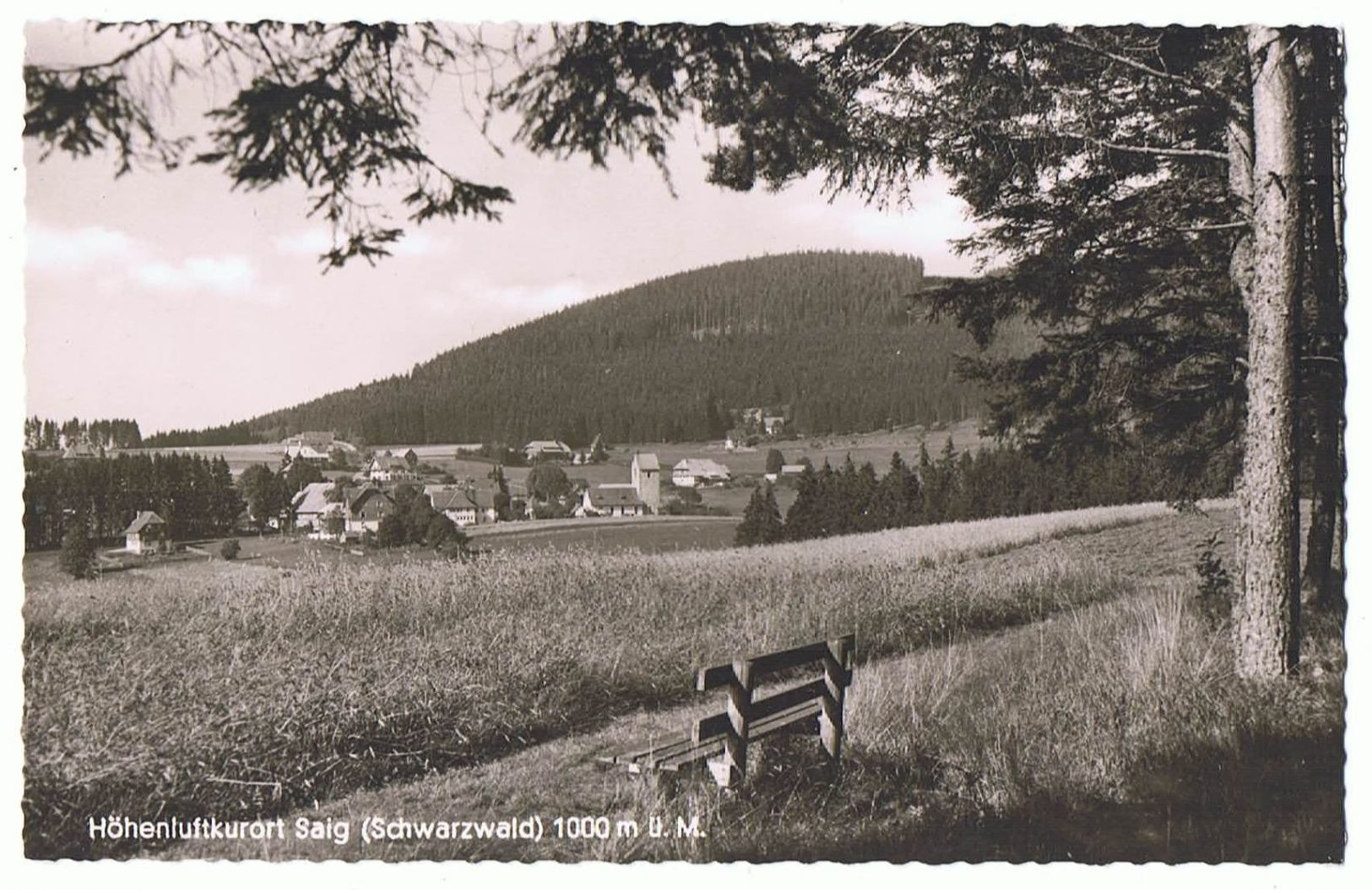 Pc'  Unused D A_14_E24 BW Hochschwarzwald Lenzkirch Saig - Hochschwarzwald