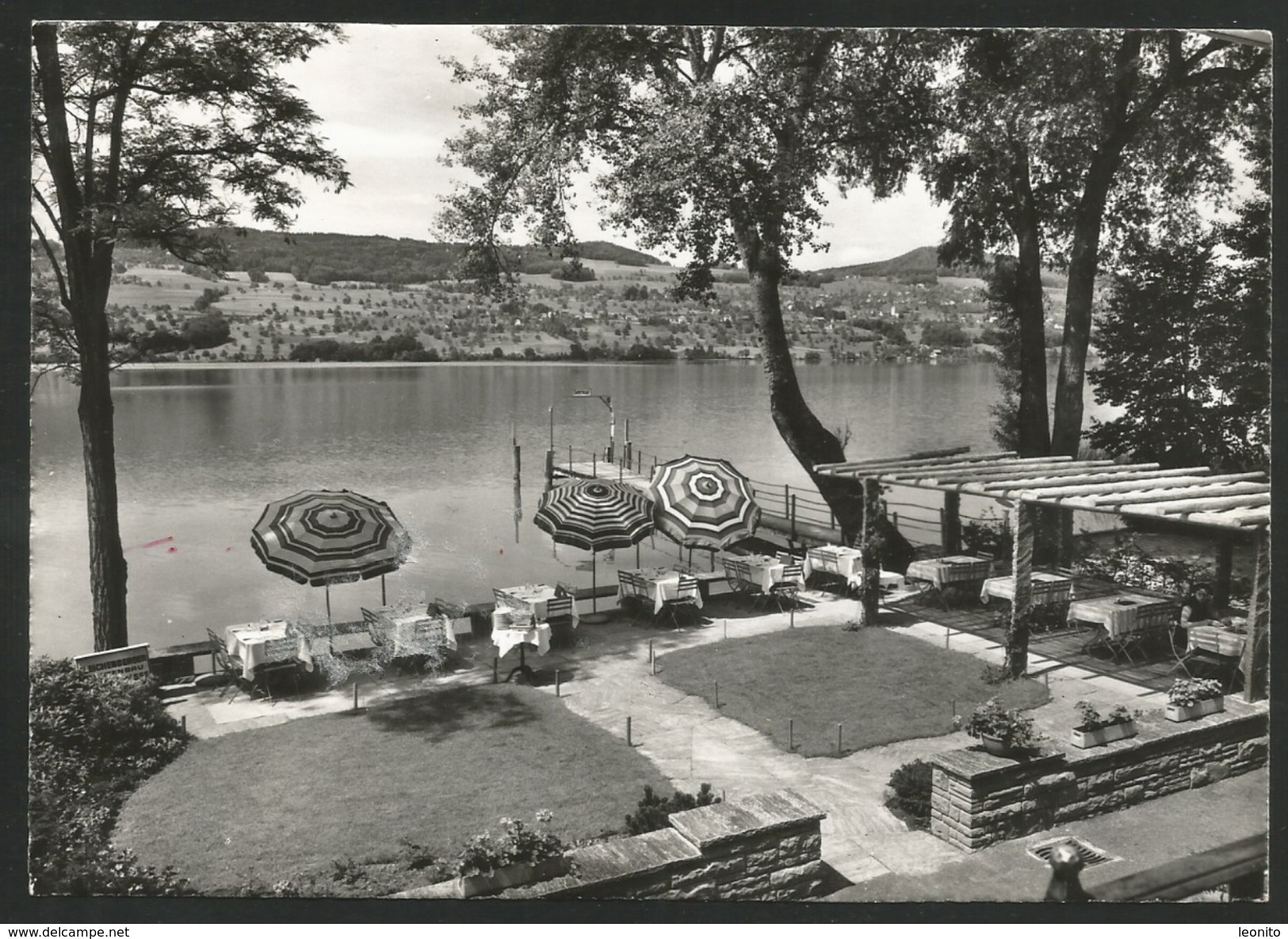 MEISTERSCHWANDEN AG Lenzburg Hotel SEEROSE Hallwilersee 1962 - Lenzburg