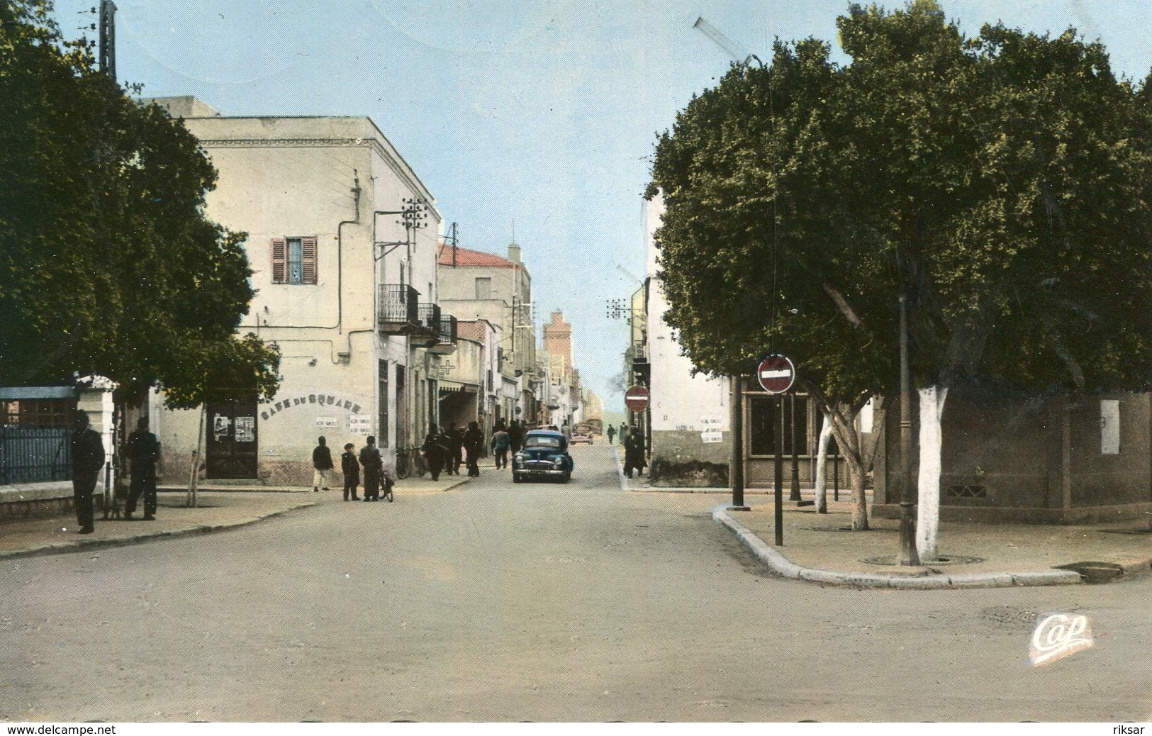 ALGERIE(BISKRA) - Biskra