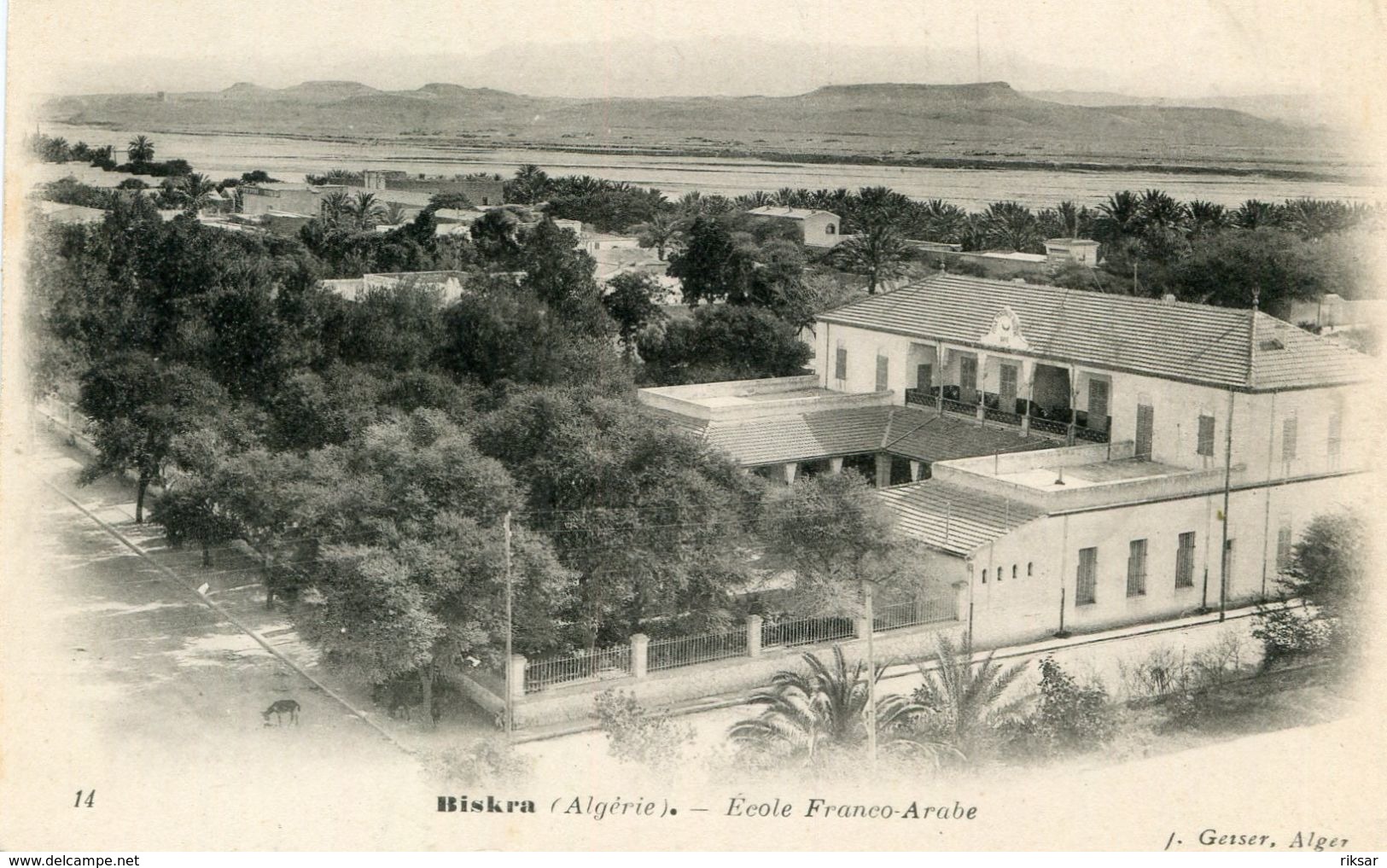 ALGERIE(BISKRA) ECOLE - Biskra