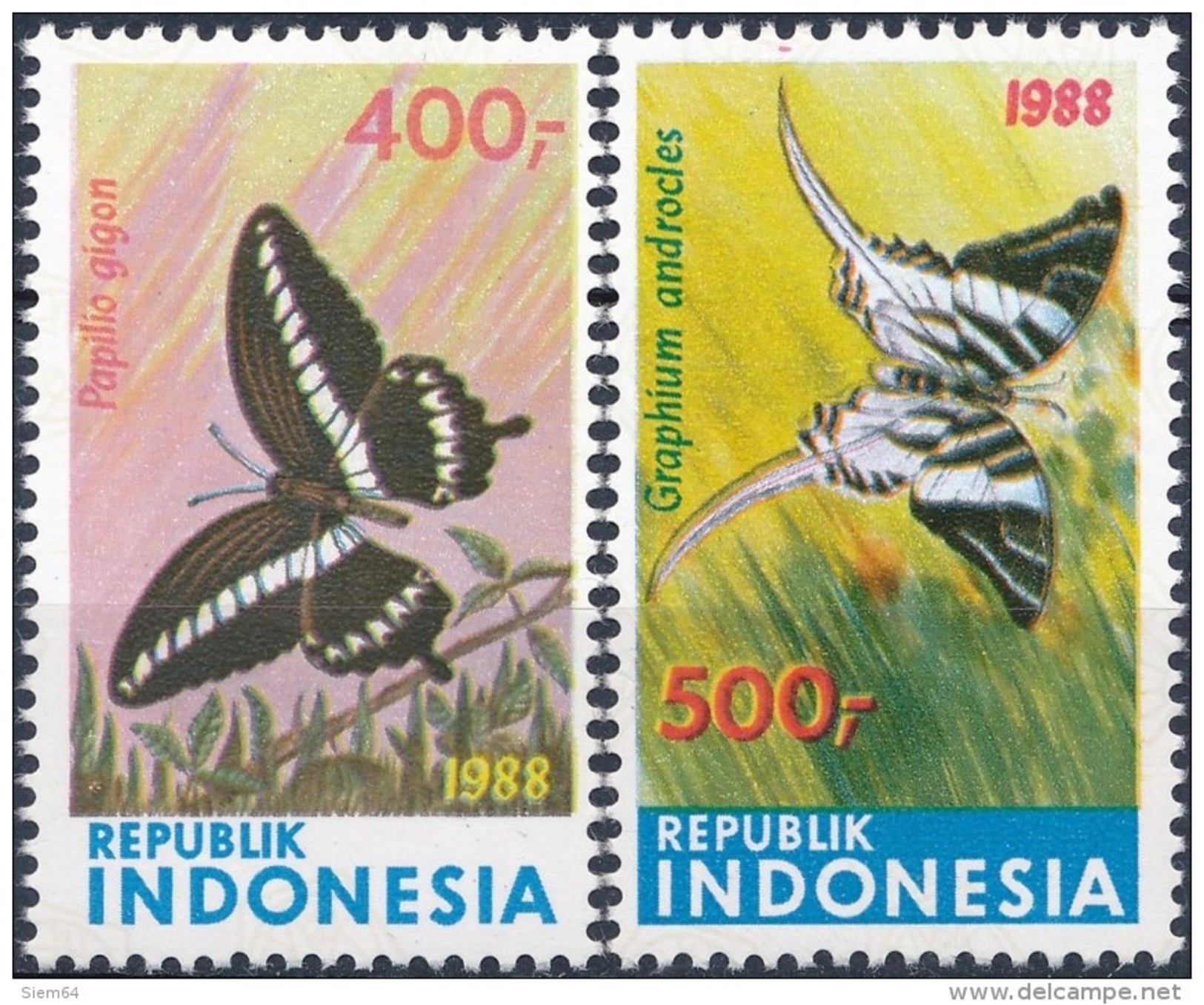 Indonesië  Butterflies - Vlinders