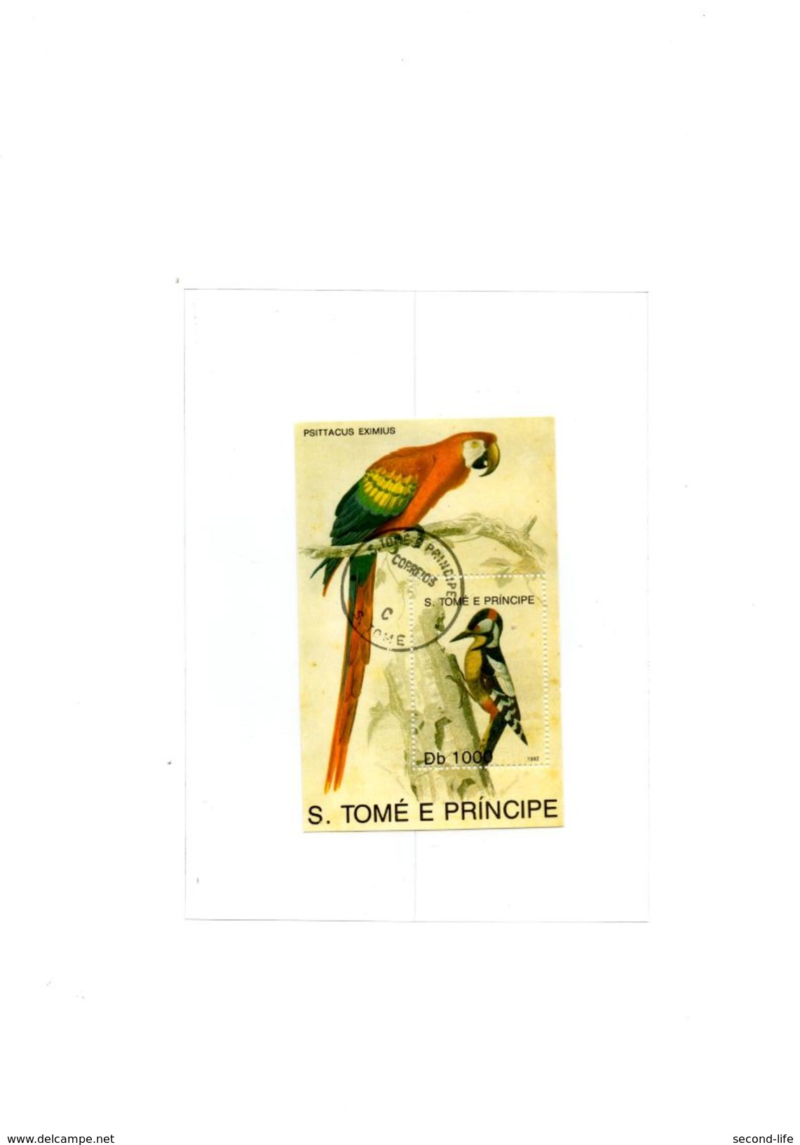 SaoTomé E Principe. Psittacus Eximius. Db 100. Minisheet - Sao Tome En Principe