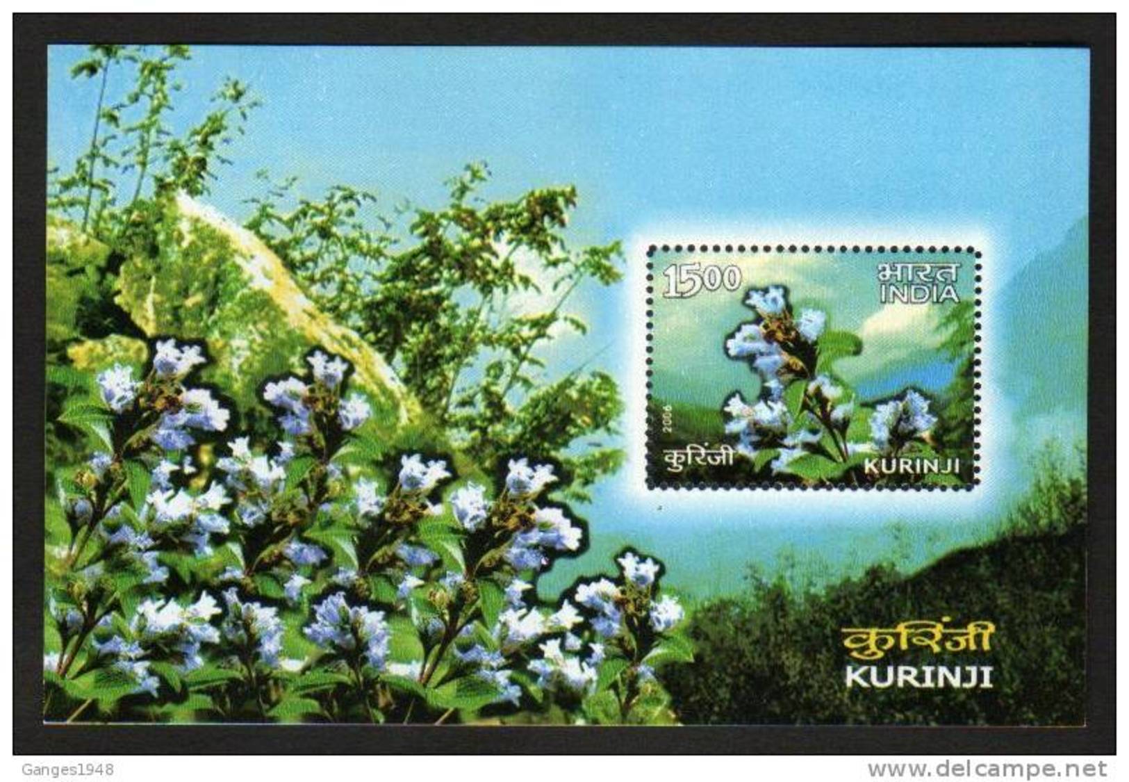 India 2006  KURINJI ORCHID FLOWER BLOC MINIATURE SHEET...BLOOMS ONCE IN 12 YEARS IN WESTERN GHATS  # 00869   Inde Indien - Blokken & Velletjes