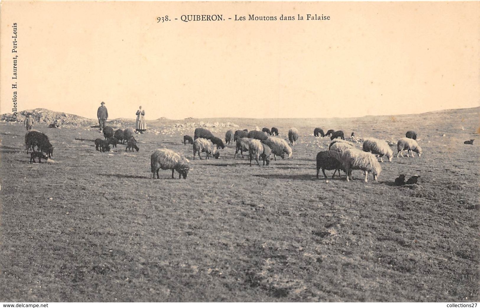 56-QUIBERON- LES MOUTONS DANS LA FALAISE - Quiberon