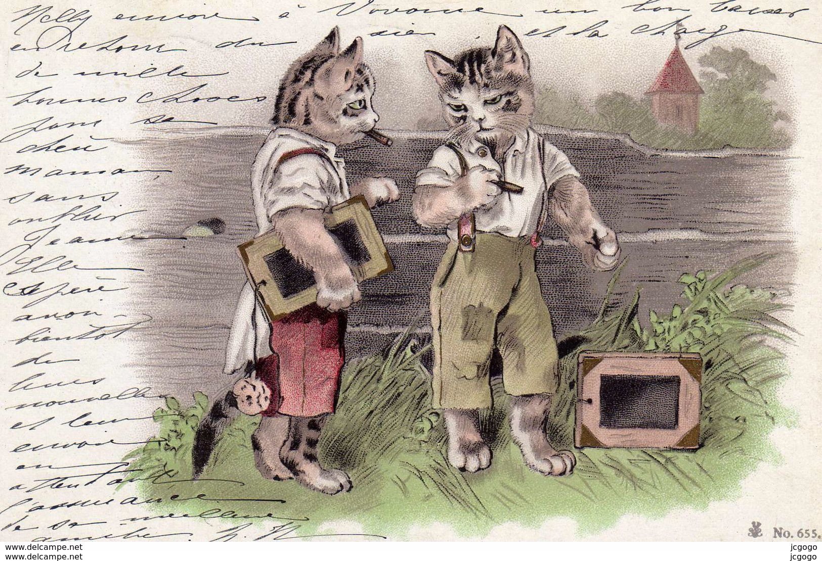 CHATS Humanisés  Carte écrite En 1903   2 Scans TBE - Cats