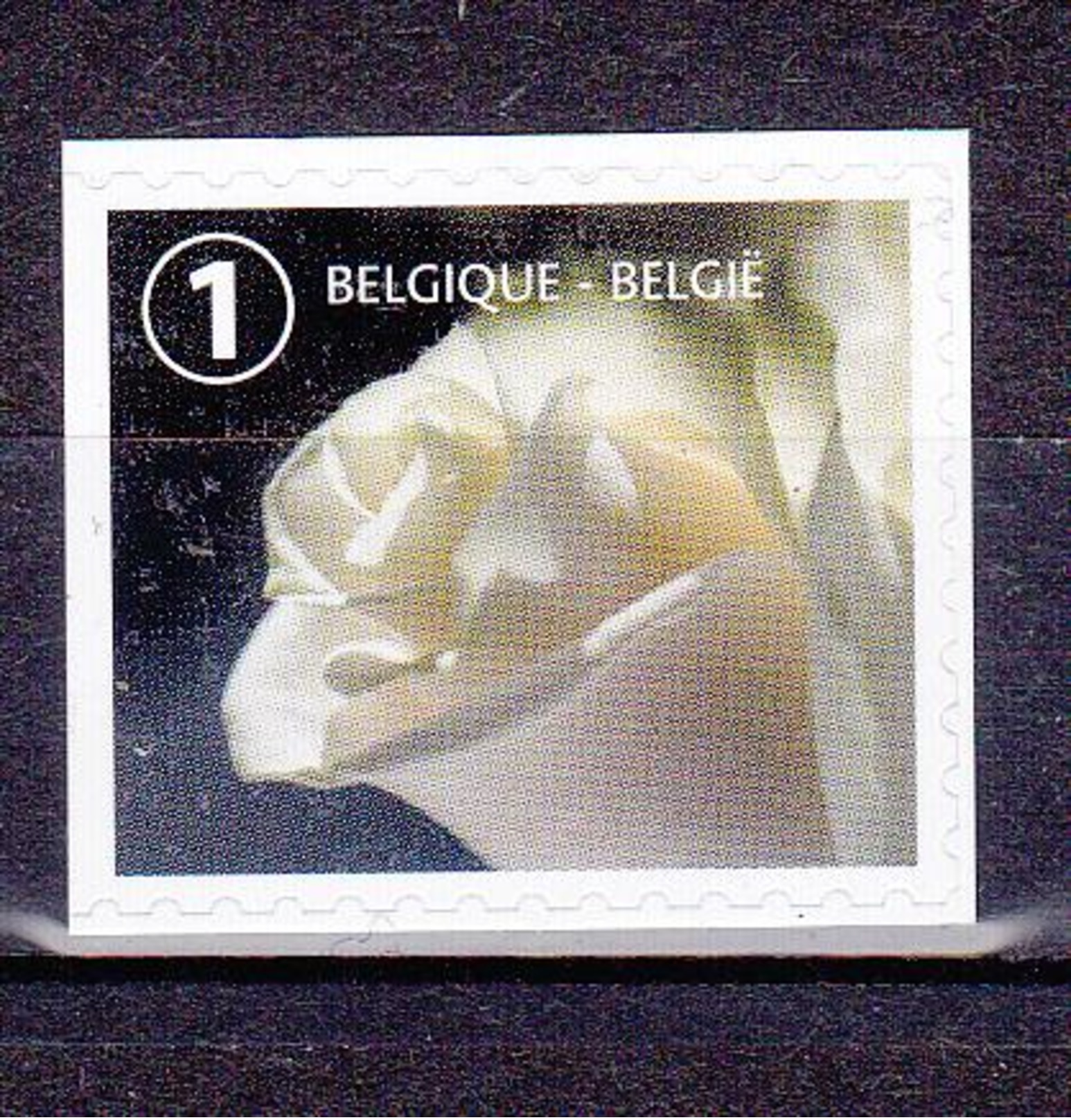 BELGIQUE 2017 DEUIL   MNH - Ungebraucht