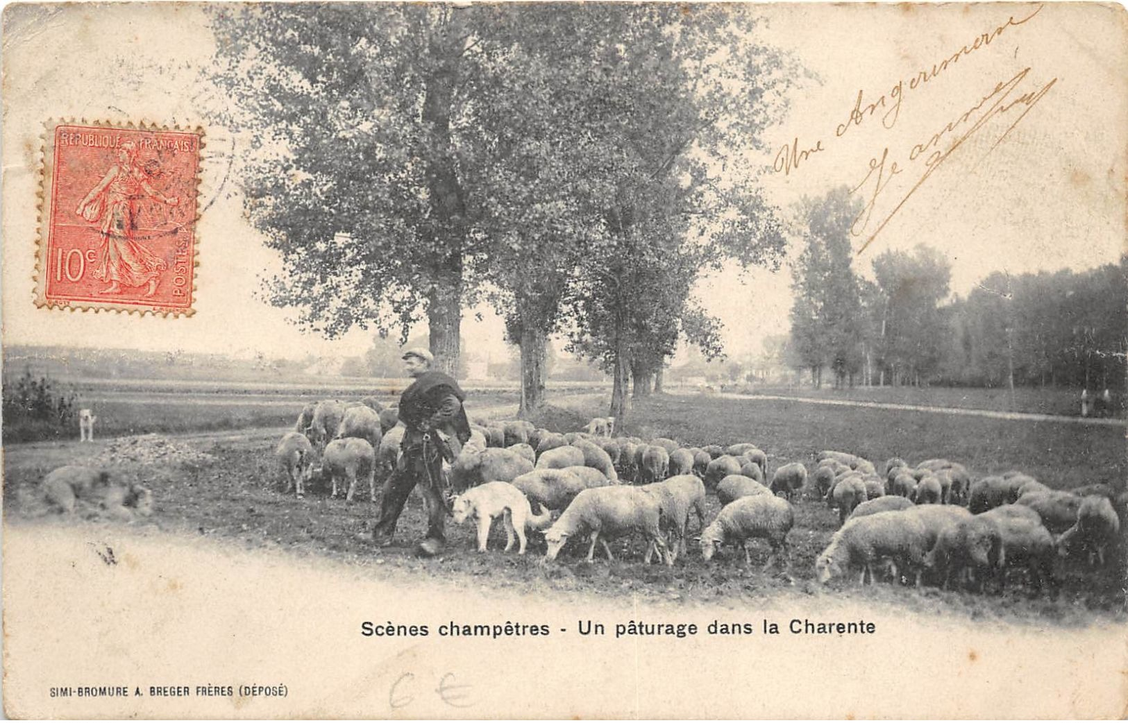 16 UN PATURAGE DANS LA CHARENTE BERGER - Autres & Non Classés