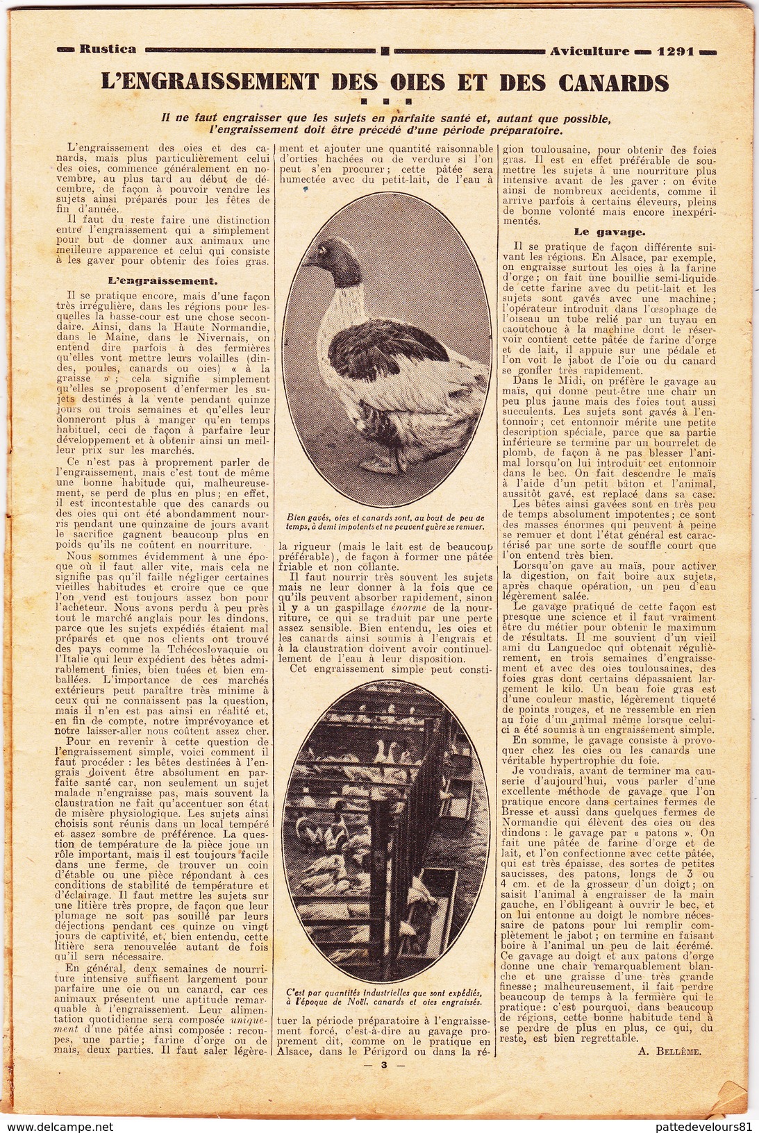 RUSTICA Le Gavage Des Oies Et Des Canards  Engraissement Volailles Ce Que Devient La Laine Des Moutons (4 Scans) - Nature