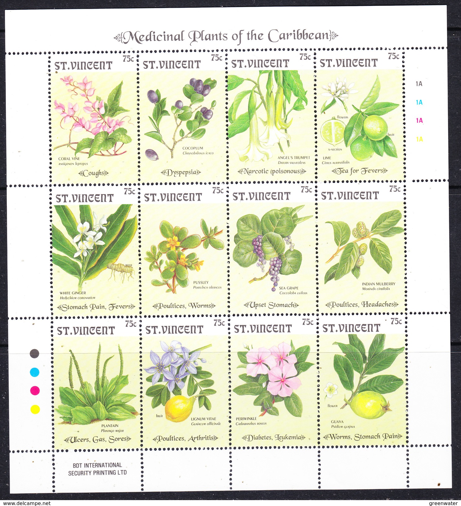 St. Vincent 1992 Medicinal Plants Of The Caribbean 12v In Sheetlet ** Mnh (36716) - St.Vincent (1979-...)