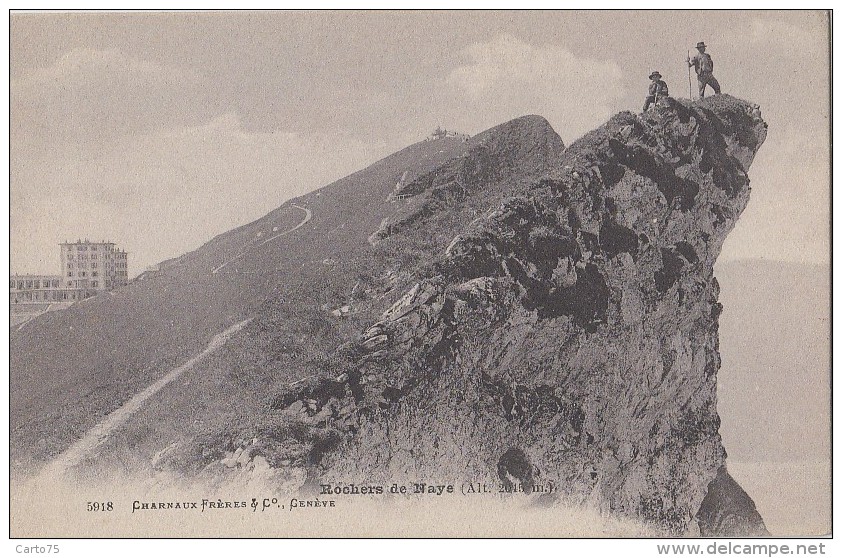 Suisse - Rochers De Naye - Alpinisme - Roche