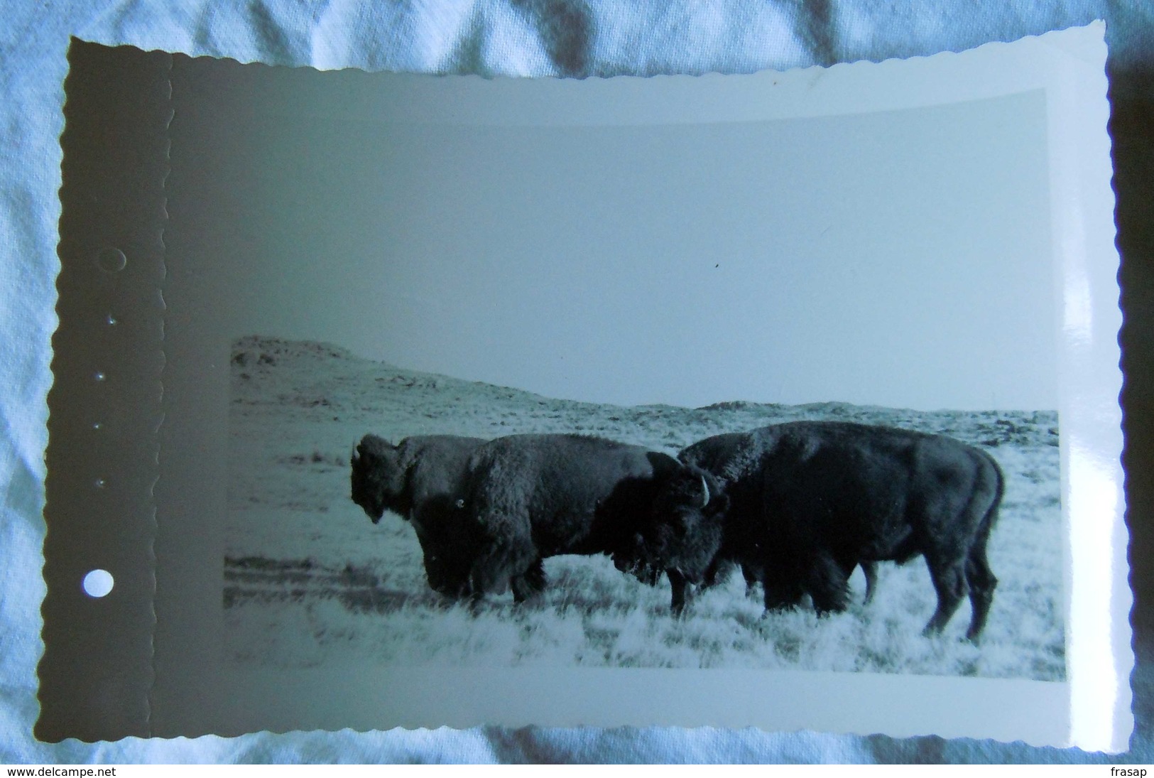 Vintage Photo  By The US Army. 1958 -Fort Sill Lawton, Okla N 6 - Guerra, Militari