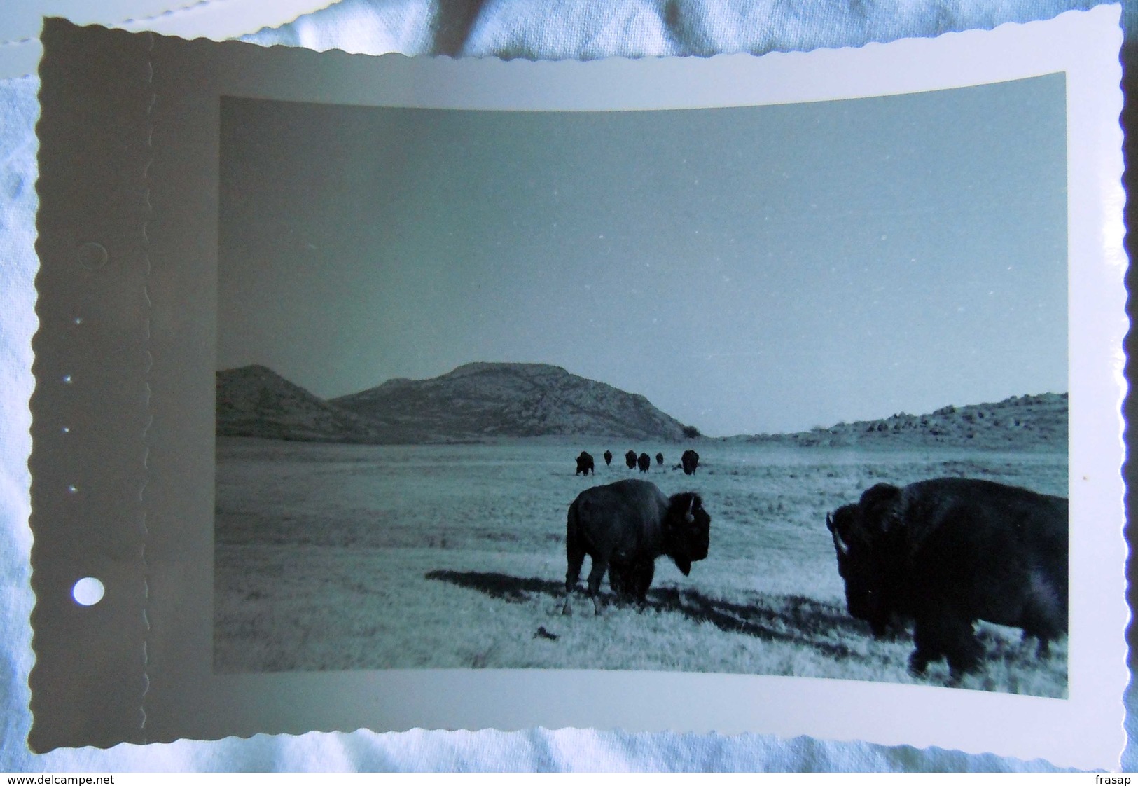 Vintage Photo  By The US Army. 1958 -Fort Sill Lawton, Okla N 8 - Guerra, Militari