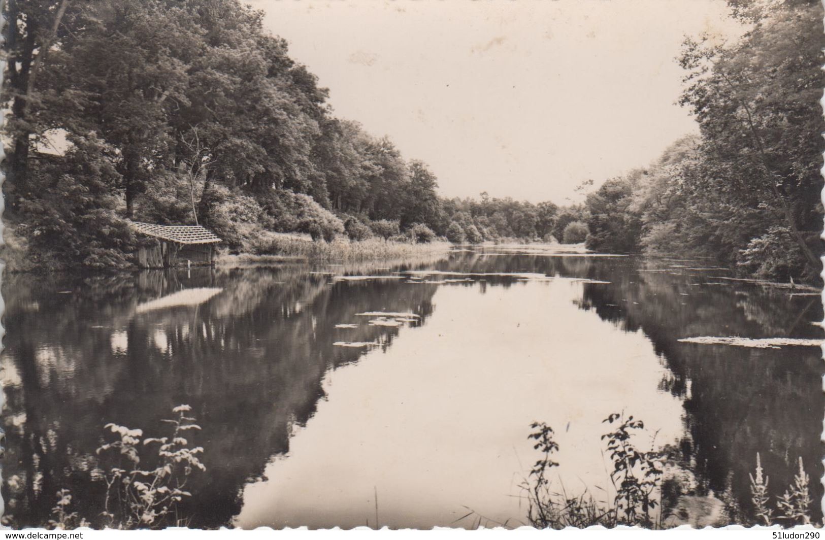 CPSM Castets-des-Landes - Le Lac Du Barrat - Castets