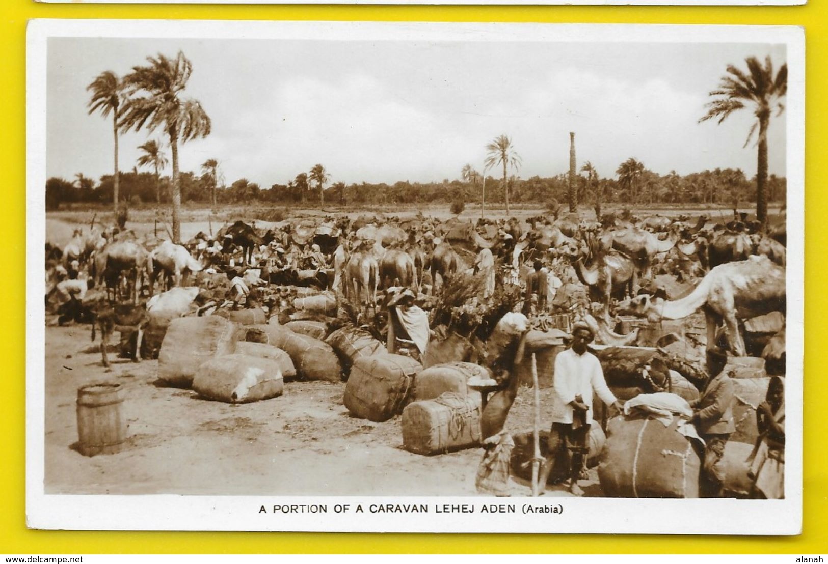 ADEN A Portion Of A Caravan Lehej (Howard) Yémen - Yémen