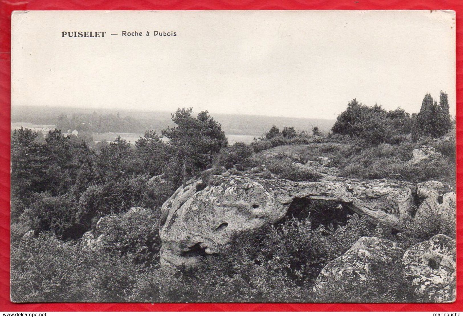 91 ? PUISELET Roche à Dubois - TBE  - R/V - Palaiseau