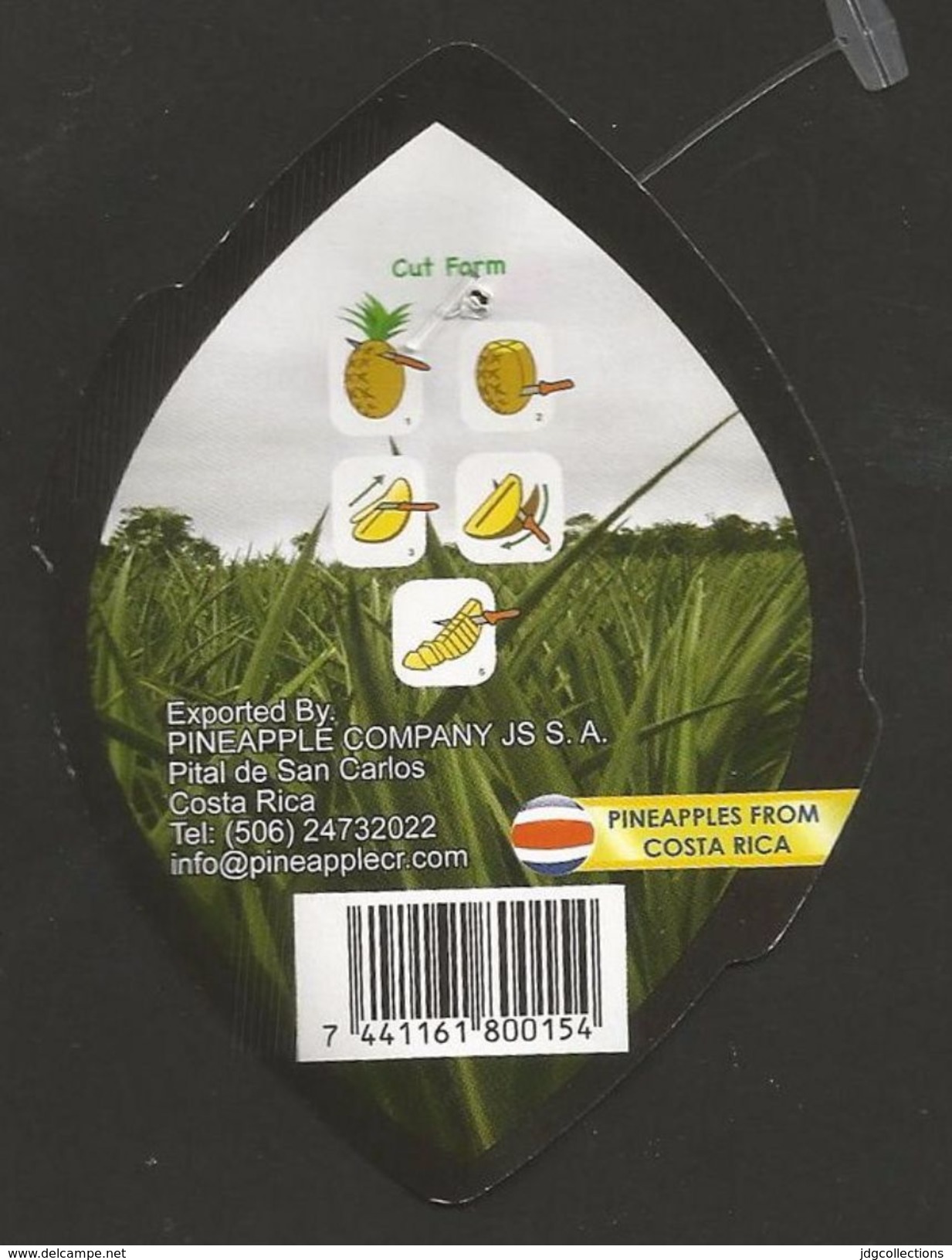 # PINEAPPLE DULCISSIMA Size 8 Fruit Tag Balise Etiqueta Anhanger Ananas Pina Costa Rica - Fruits & Vegetables