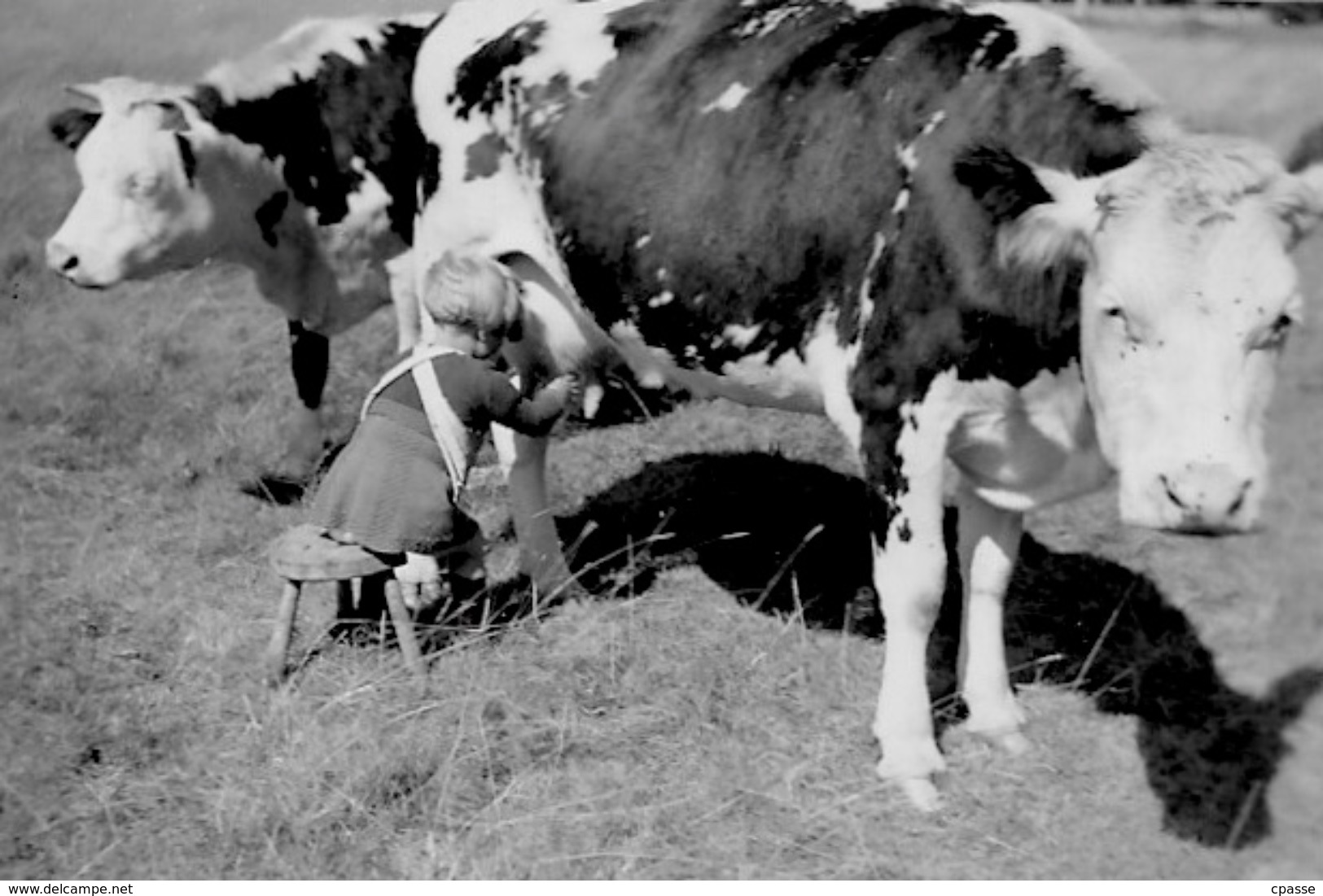 PHOTO Photographie Amateur - Enfants - Fillette S'initiant à La Traite Des Vaches ° Ferme Agriculture Elevage - Autres & Non Classés