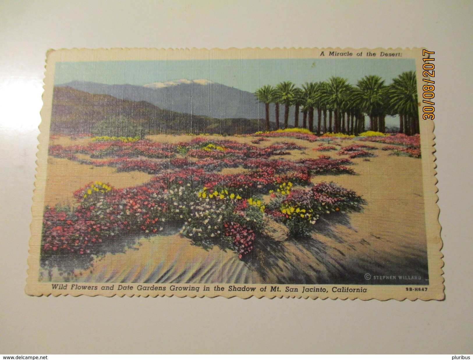 USA 1956 HOLLYWOOD CALIFORNIA TO RUSSIA USSR , MT. SAN JACINTO   ,K0 - Andere & Zonder Classificatie