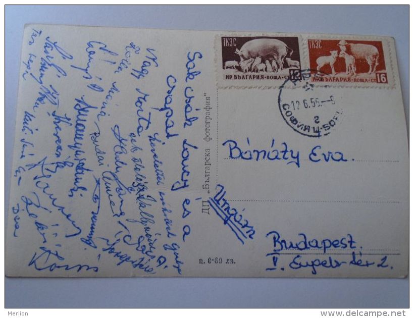 DEL001.3 Autograph On Postcard Sent To Bánáty Éva  Female Gymnastics Team From Bulgaria 1959 - Autres & Non Classés