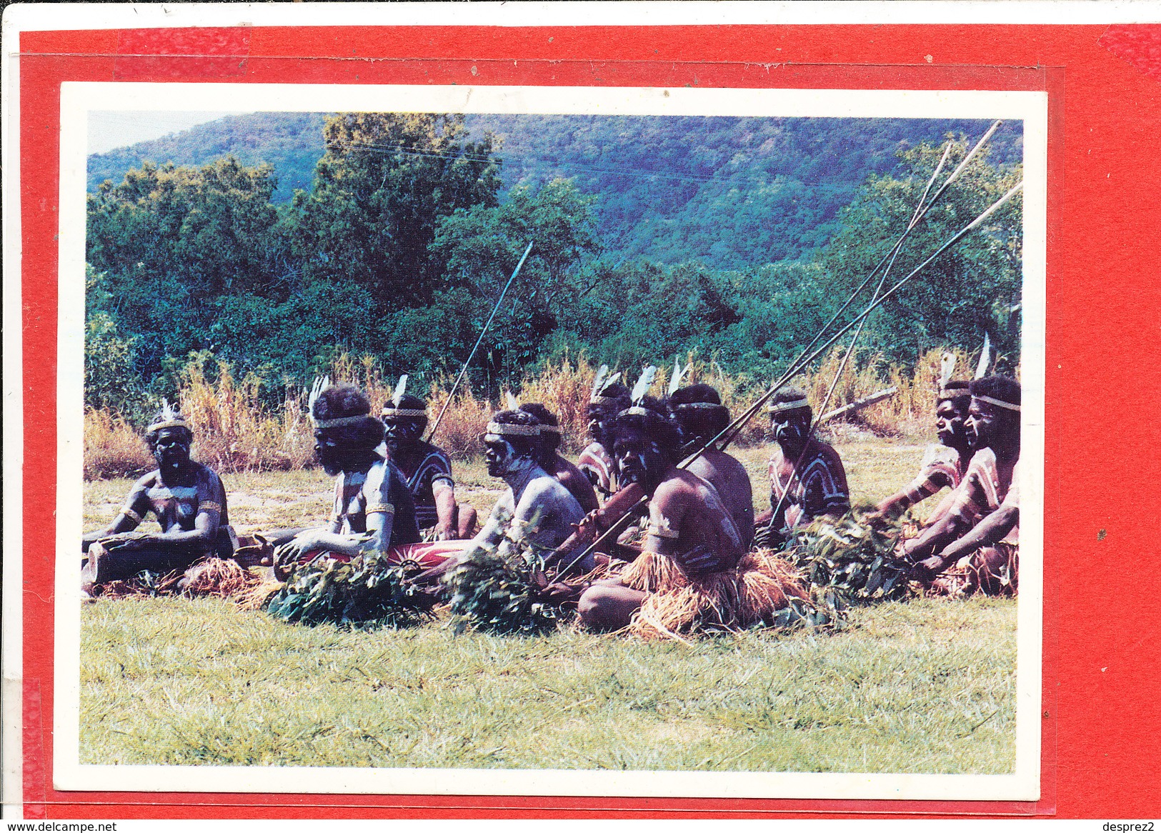 AUSTRALIE LOCKHART RIVER Cp Aborigenes Winner Senior Shield - Aborigènes