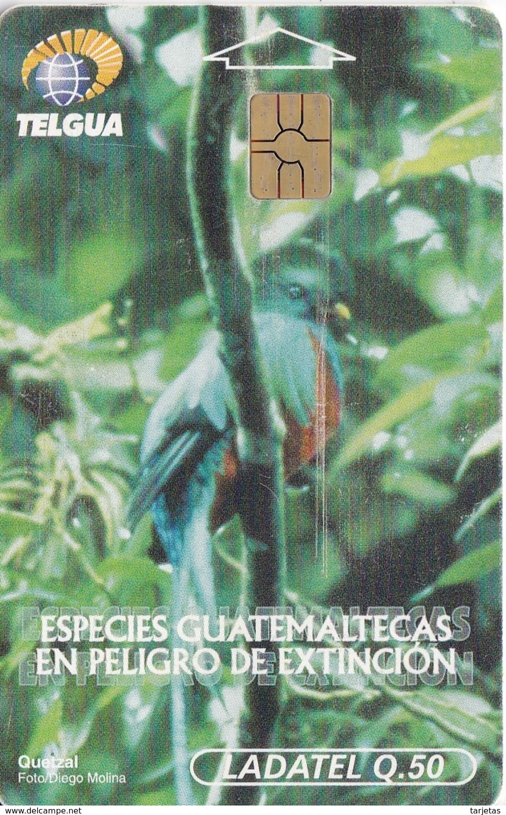 TARJETA DE GUATEMALA DE UN QUETZAL (BIRD-PAJARO) - Otros & Sin Clasificación