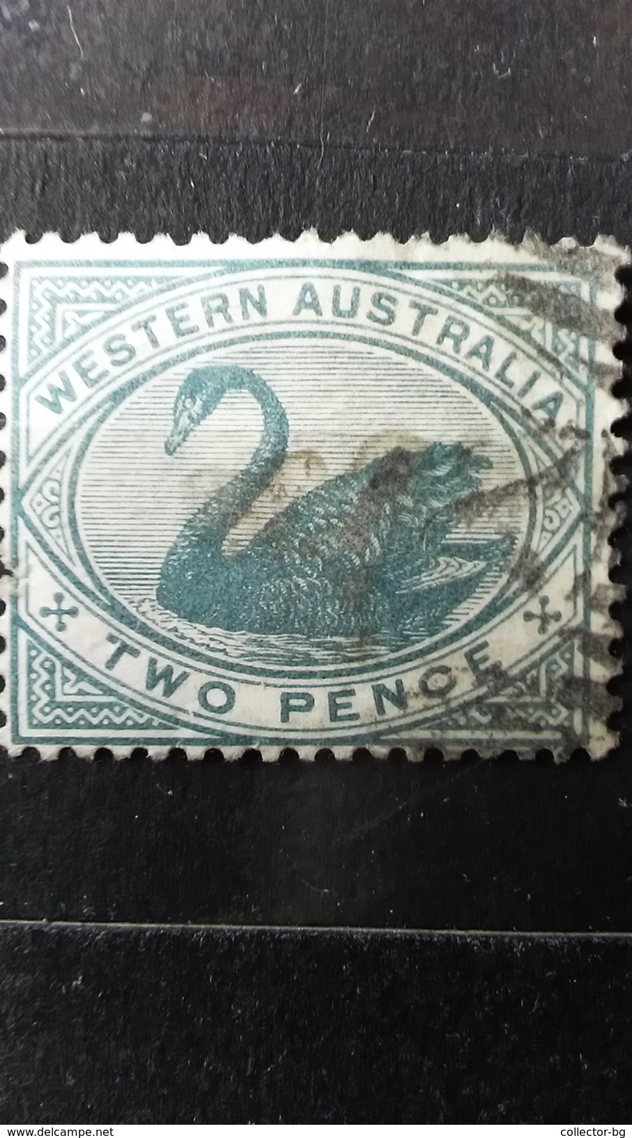 RARE WESTERN AUSTRALIA TWO PENCE BLUE USED STAMP TIMBRE - Usados