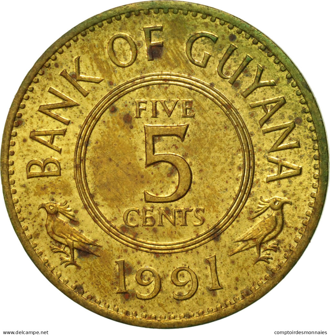 Monnaie, Guyana, 5 Cents, 1991, TTB, Nickel-brass, KM:32 - Guyana