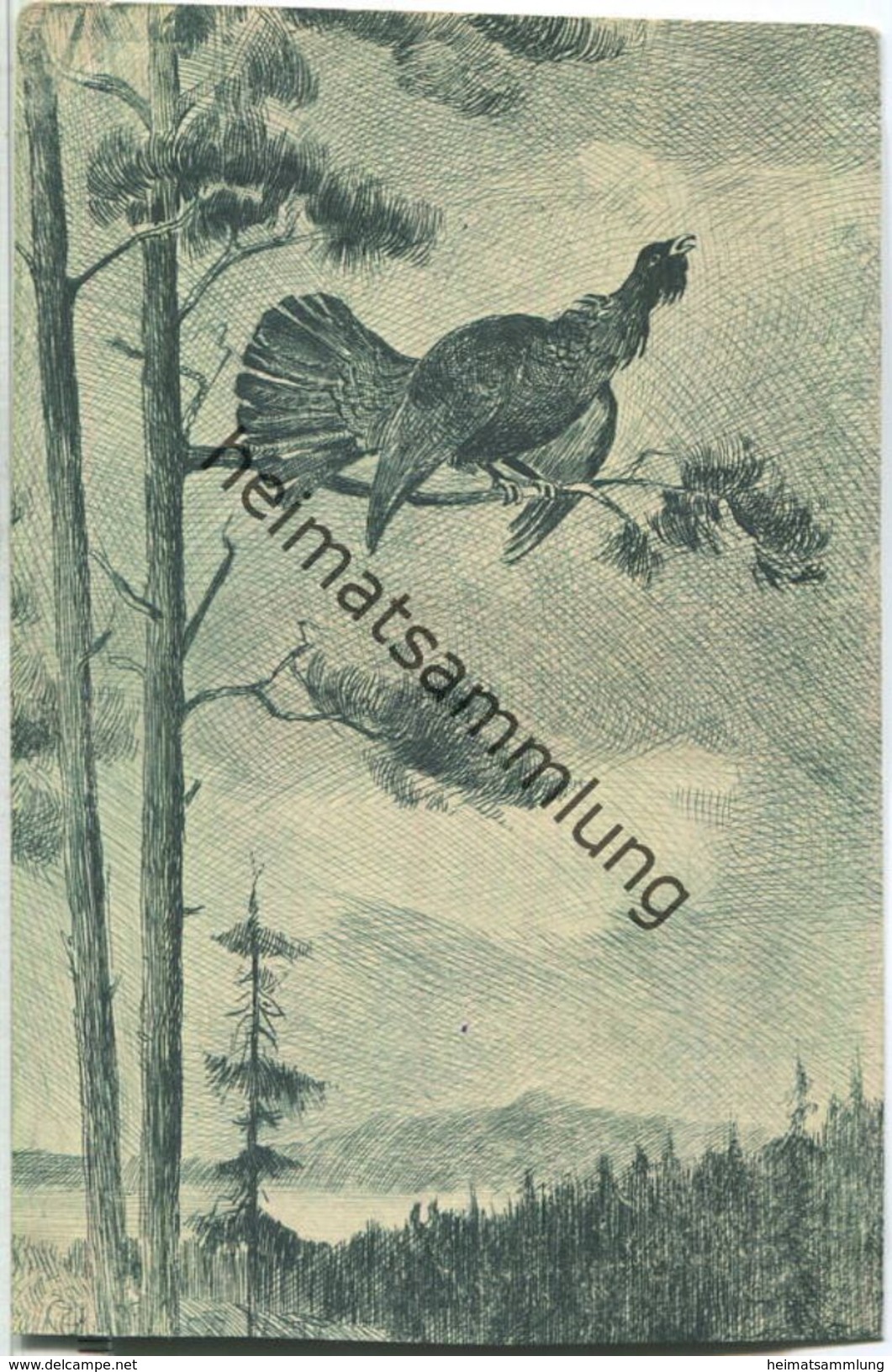 Jagd - Auerhahn - Künstleransichtskarte Ca. 1900 - Hunting
