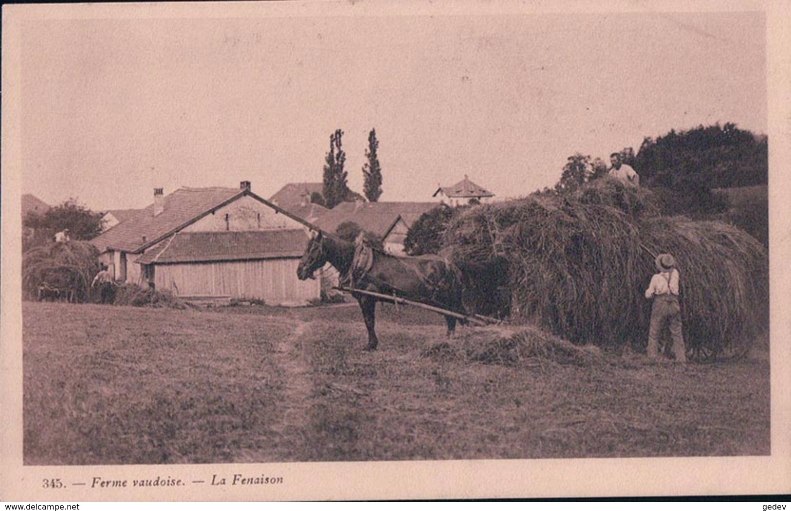 Ferme Vaudoise, La Fenaison, Attelage De 2 Chevaux (345) - Fermes
