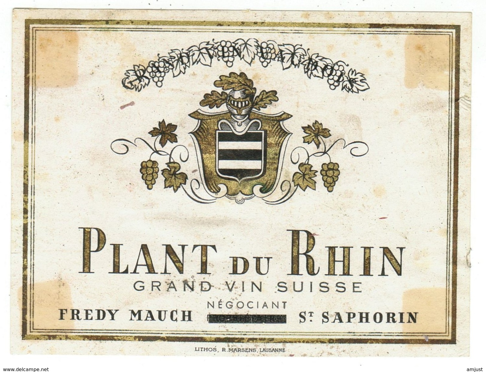 Rare // Plant Du Rhin, Fredy Mauch, St.Saphorin, Vaud // Suisse - Autres & Non Classés