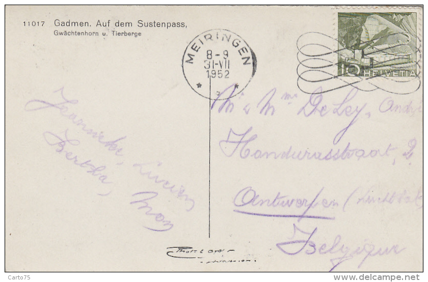 Suisse - Gadmen - Auf Dem Sustenpass - Alpage Moutons - Postmarked Meiringen 1952 - Gadmen 