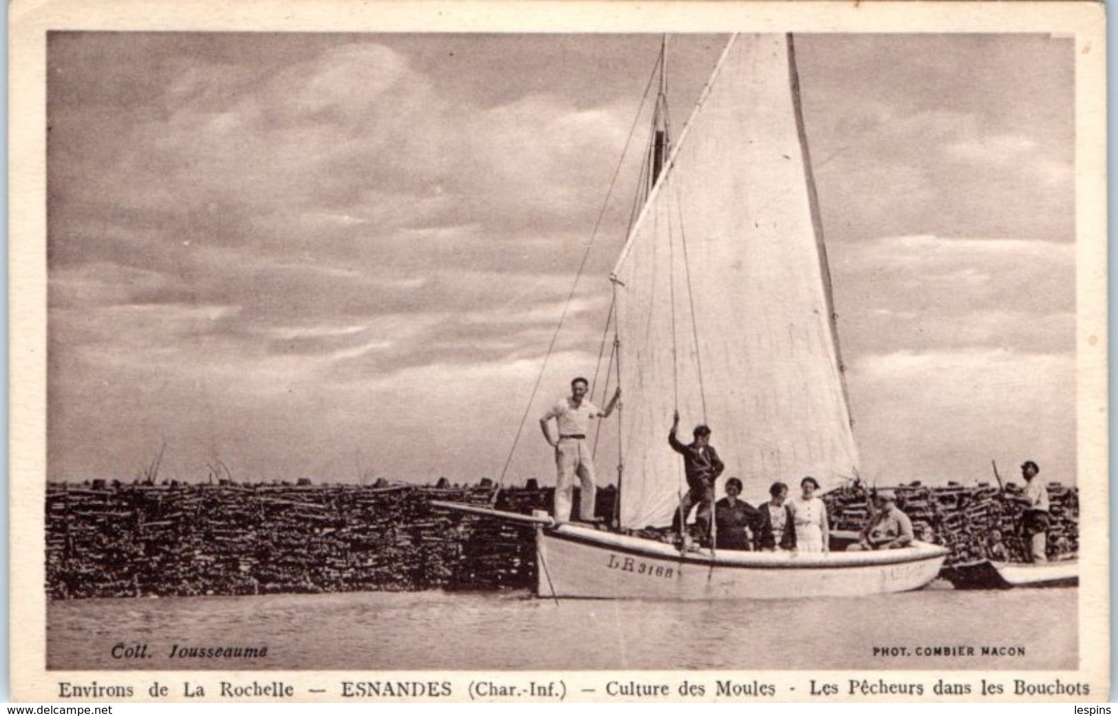 17 - ESNANDES --  Culture Des Moules - Les Pêcheurs Dans Les Bouchots - Autres & Non Classés