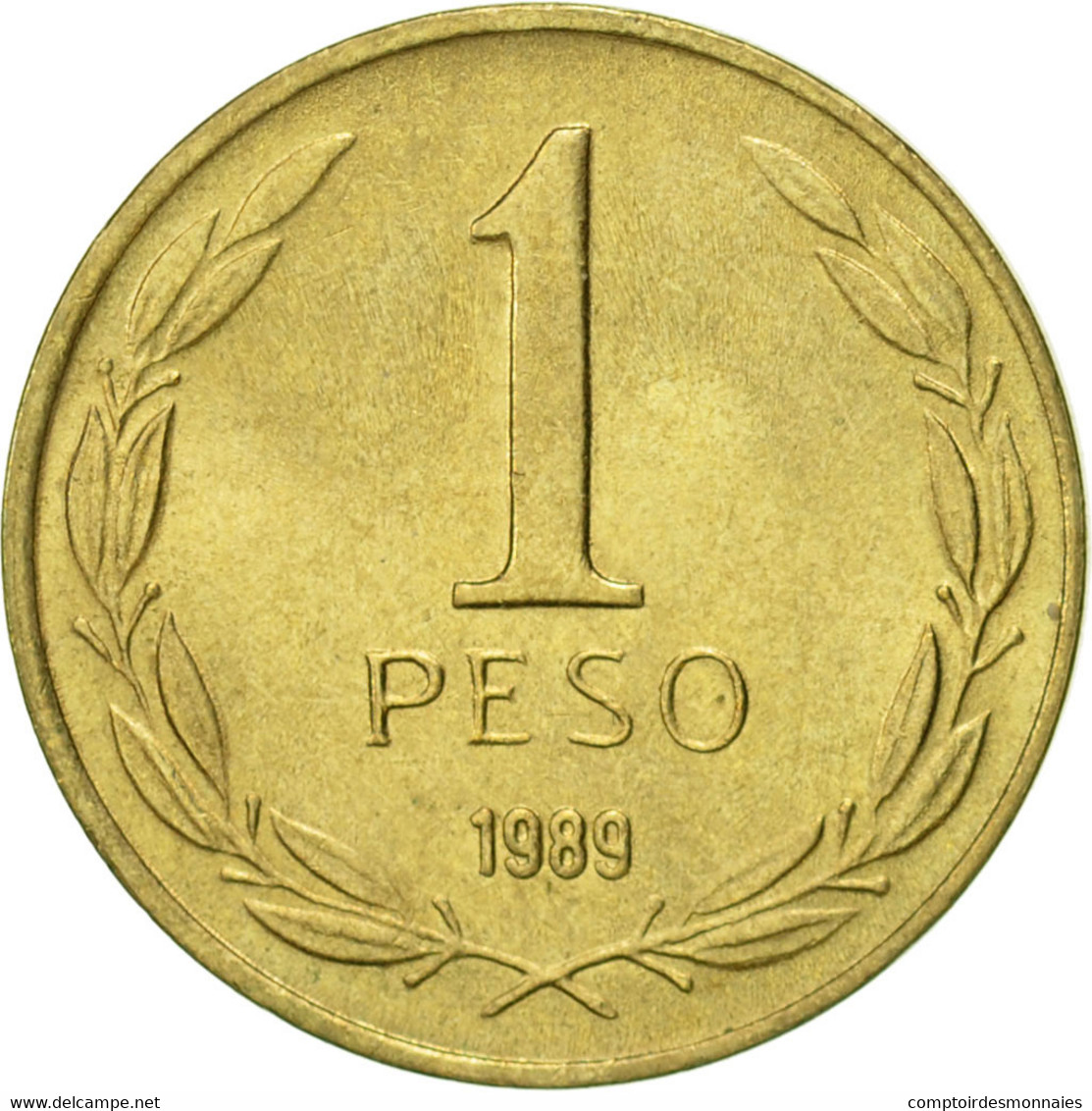 Monnaie, Chile, Peso, 1989, SUP, Aluminum-Bronze, KM:216.2 - Chili