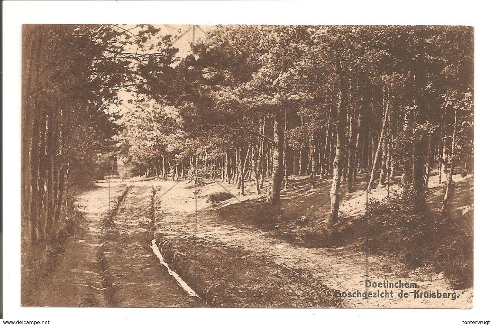 Doetinchem.Boschgezicht De Kruisberg. - Doetinchem