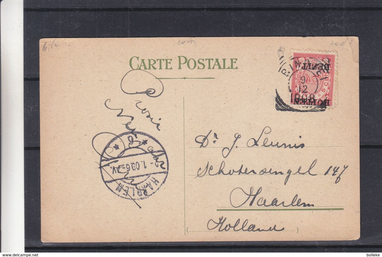 Indes Néerlandaises - Carte Postale De 1908 - Oblit Bindjei  ? - Exp Vers Haarlem Au Pays Bas - Netherlands Indies