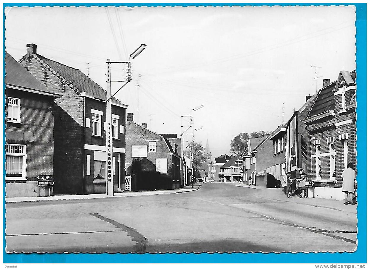 Overpelt - Schuttersboomstraat - Overpelt