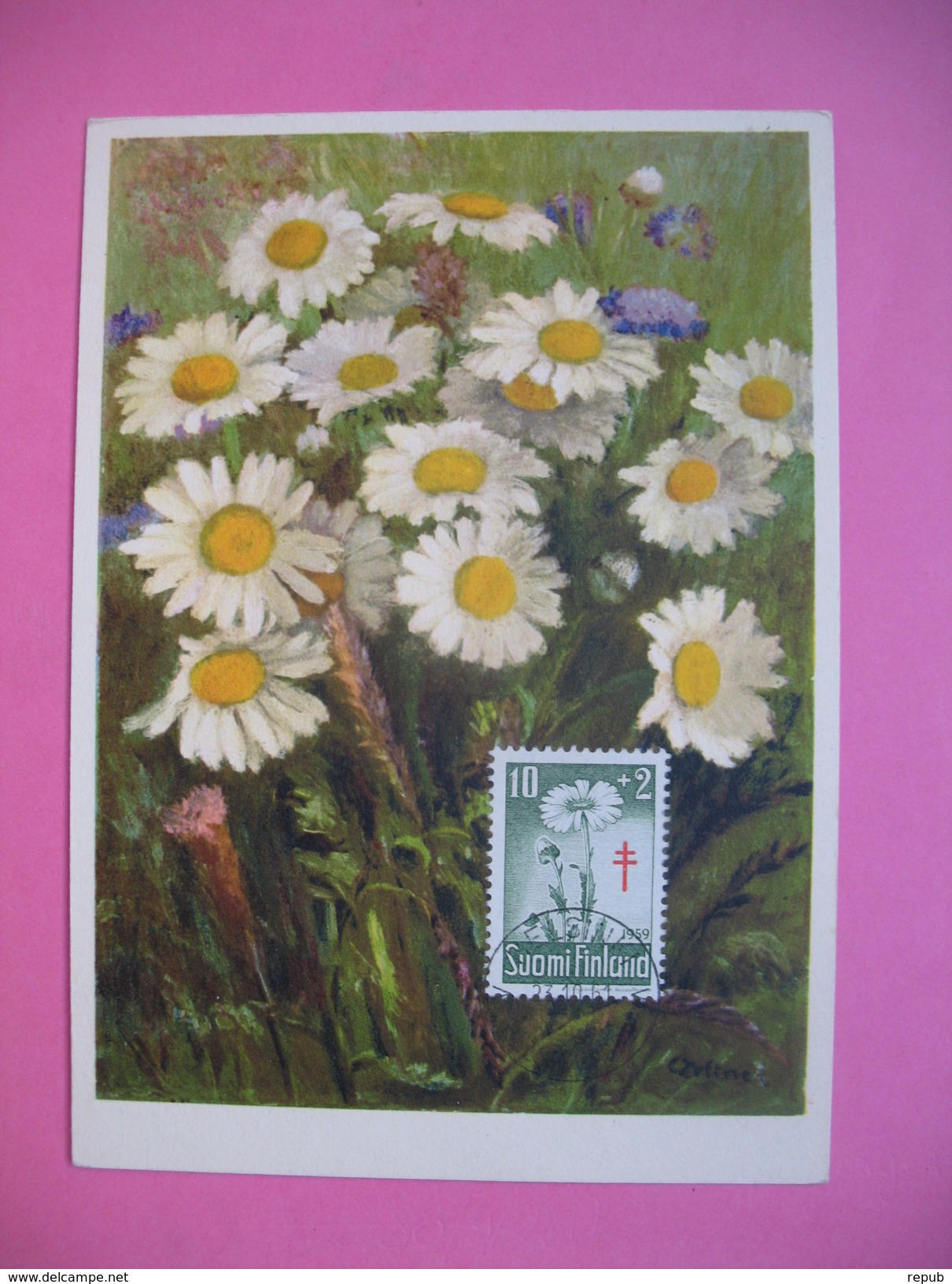 Carte-Maximum     1959 - Fleurs Marguerites - Maximum Cards & Covers
