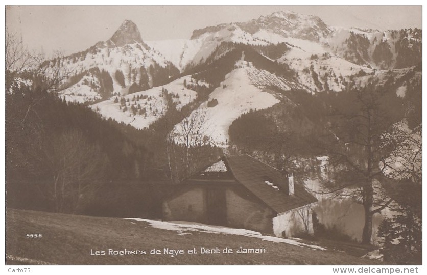 Suisse - Rochers De Naye Et Dent De Jaman - Roche