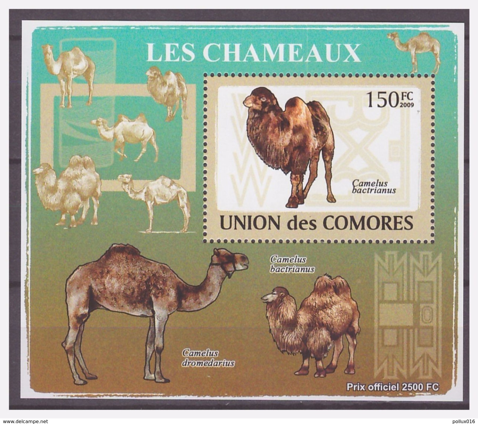 0243 Comores 2009 Kameel Camel Chameaux S/S MNH - Autres & Non Classés