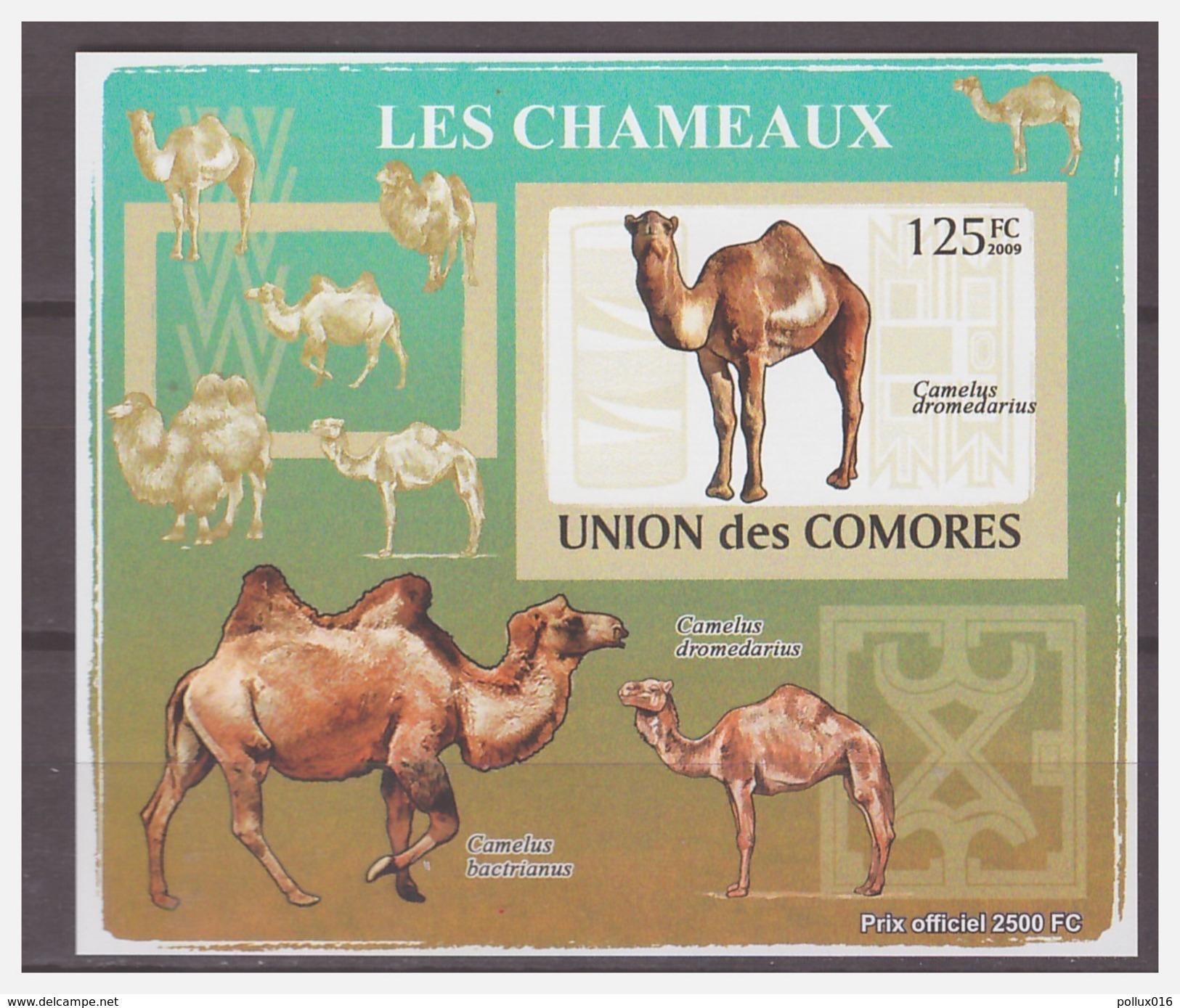 0196 Comores 2009 Kameel Camel S/S MNH Imperf - Autres & Non Classés